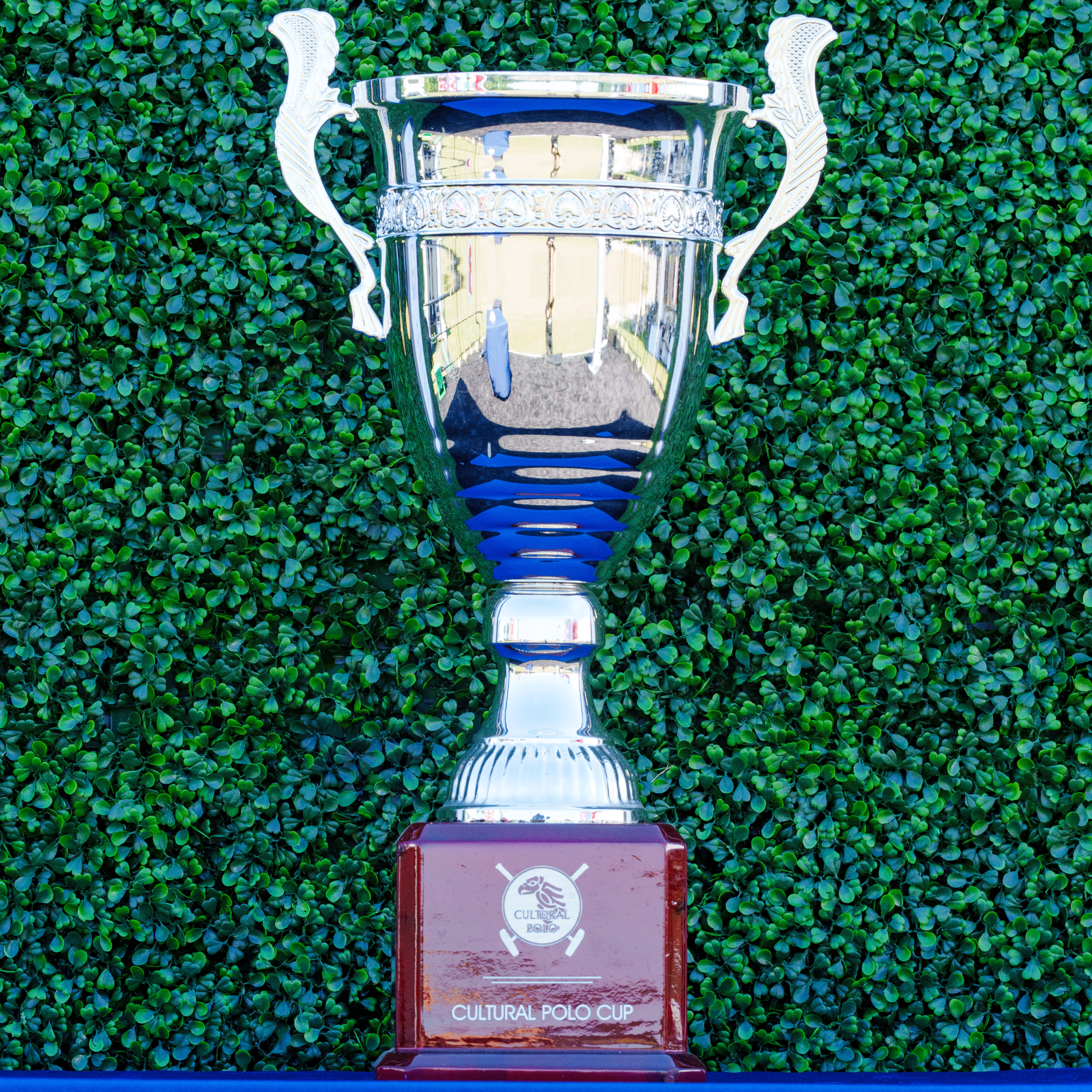 The District Cup